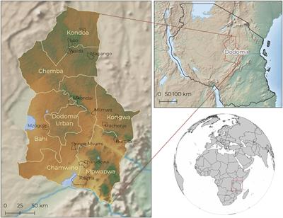Species Selection and Management Under Farmer Managed Natural Regeneration in Dodoma, Tanzania